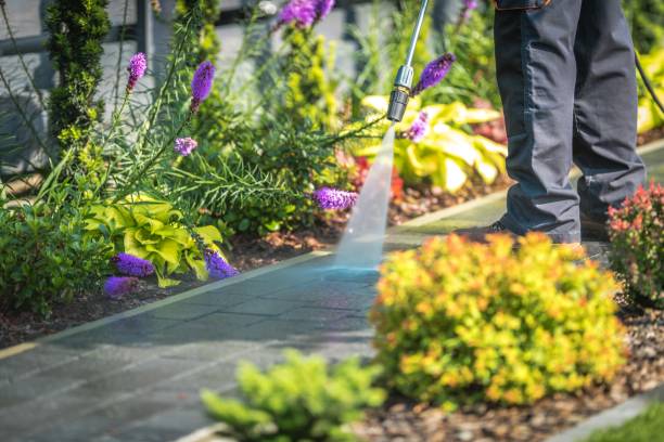 Best Driveway Pressure Washing  in Elkton, MD
