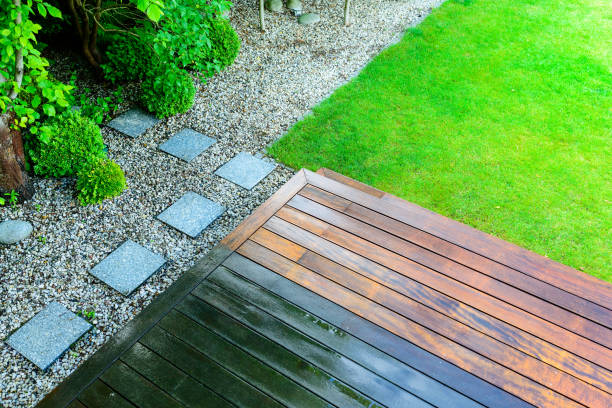 Best Roof Washing  in Elkton, MD