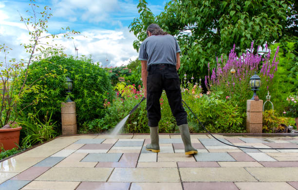 Reliable Elkton, MD Pressure Washing Solutions