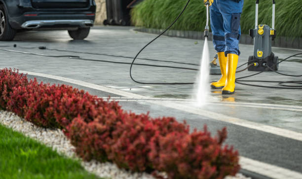 Best Patio and Deck Pressure Washing  in Elkton, MD